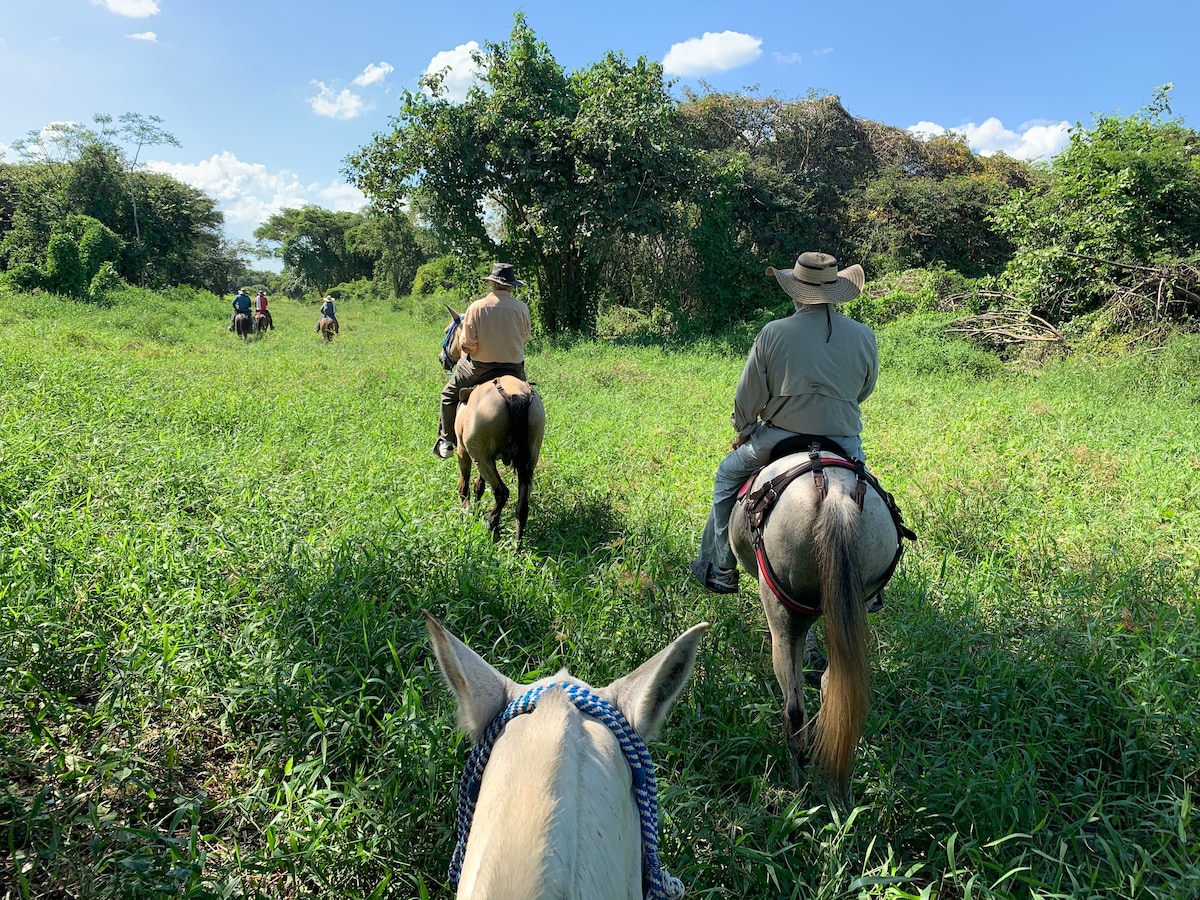 Hacienda Las Tapias。