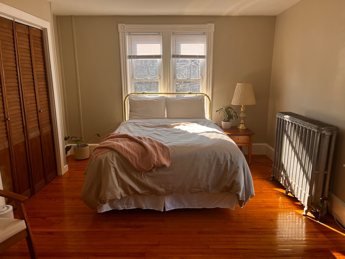 Downtown Victorian Apartment