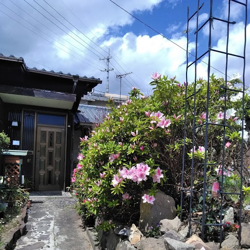 guesthouse_Yashima 2-3 （旧日本房屋里的猫）