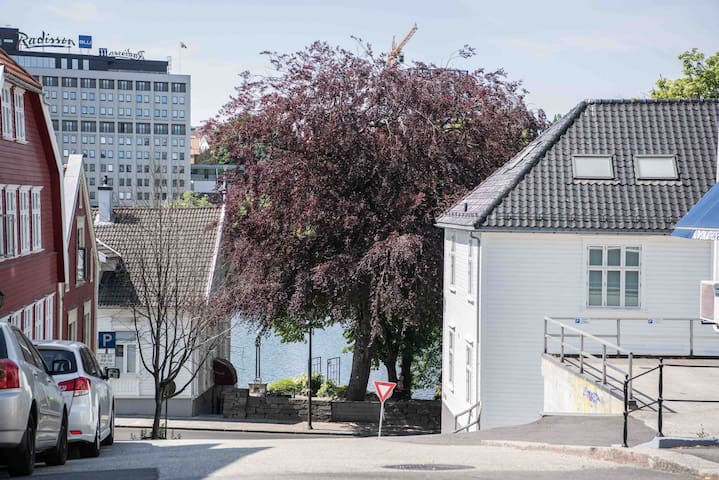 斯塔万格(Stavanger)的民宿