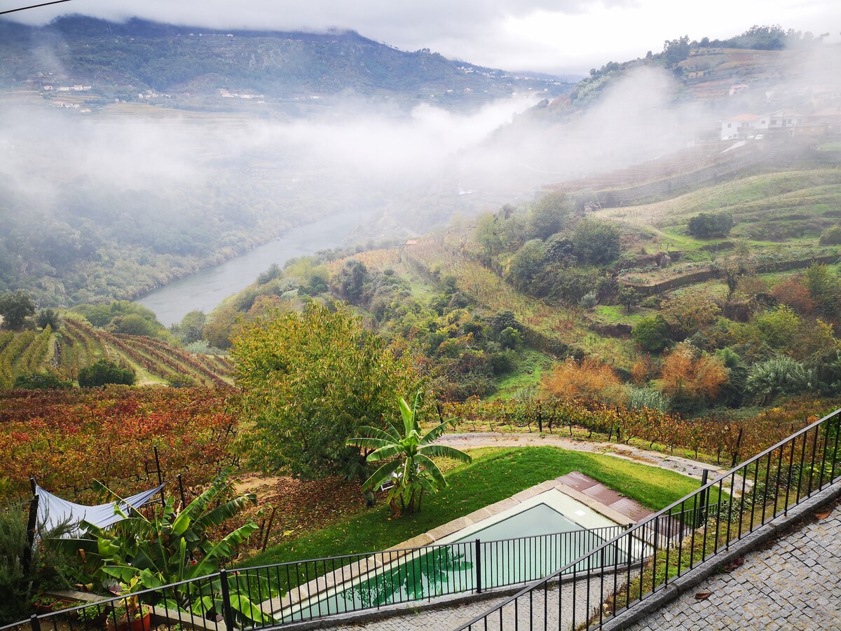 Quinta Barqueiros D`Ouro - Casa da Vinha