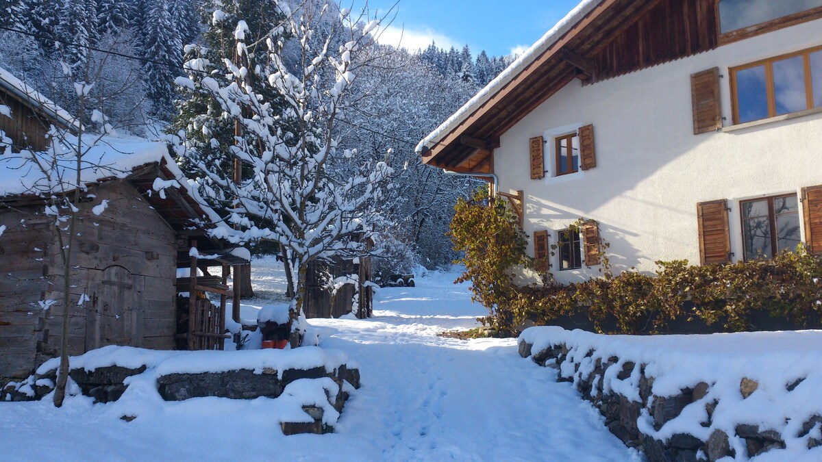 Beautiful 1 Bedroom Apartment in the French Alps