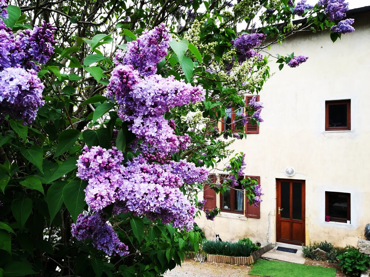 Maison de charme, 65km de Lyon,  Haut Beaujolais.