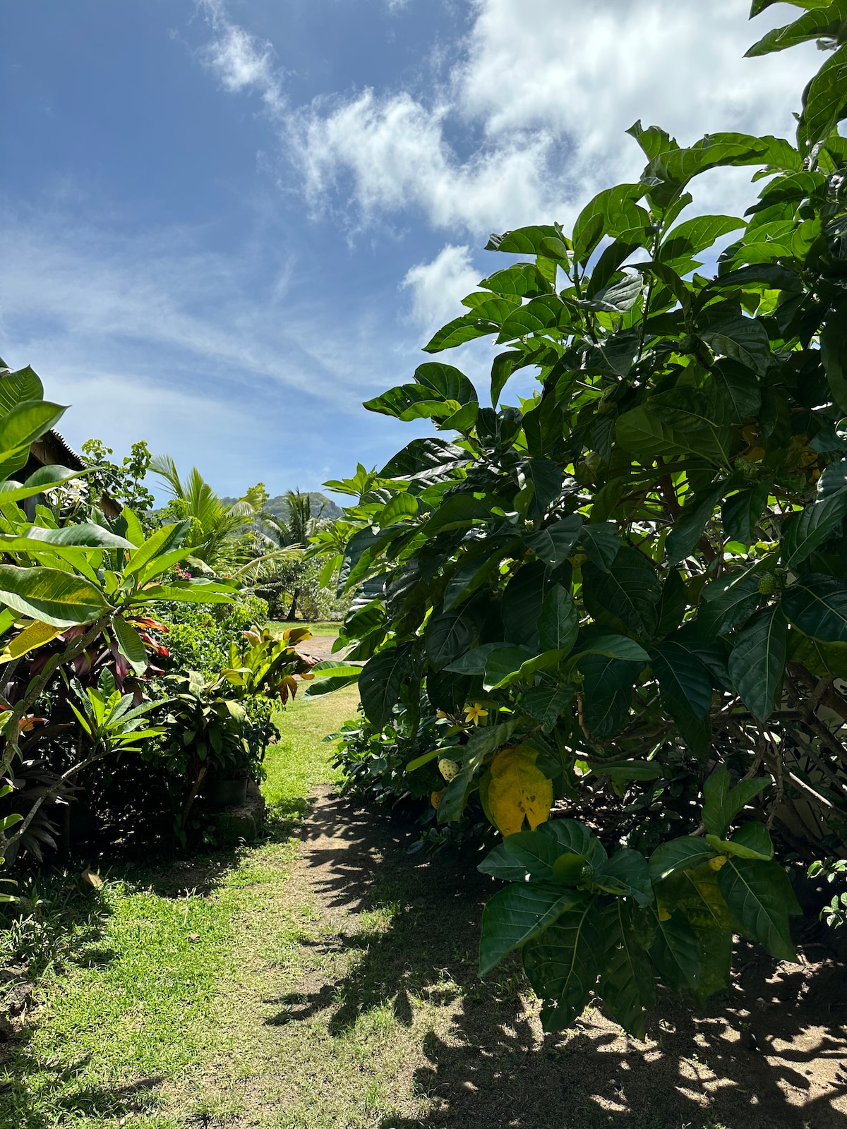 Vaiotaha Lodge, Otaha 3