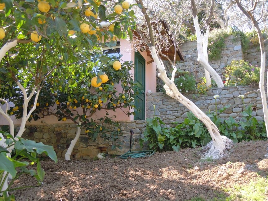 柠檬花园中的Monterosso温馨小屋