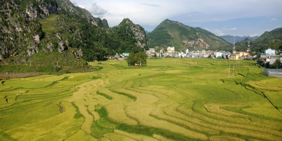 Trieu Nghi民宿，位于Dong Van Co街