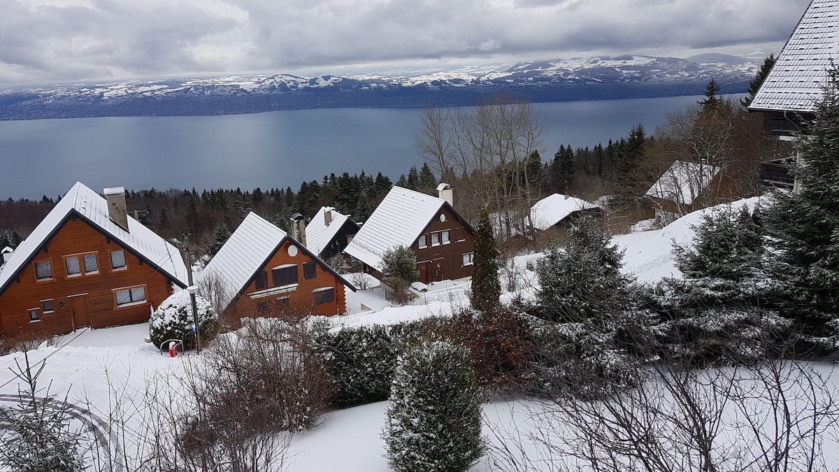 山间度假木屋，可欣赏日内瓦湖的迷人景色。