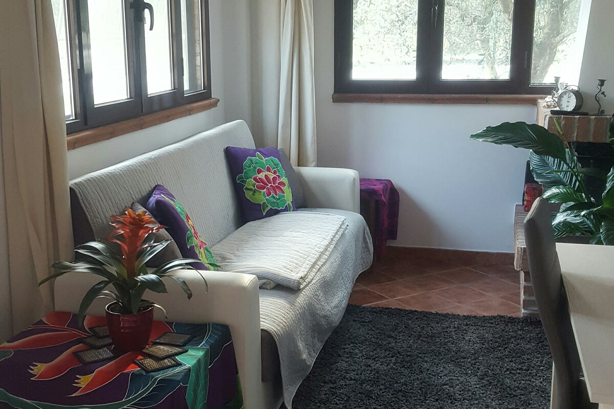 Beautiful cosy unit at Lake Trasimeno Umbria Italy