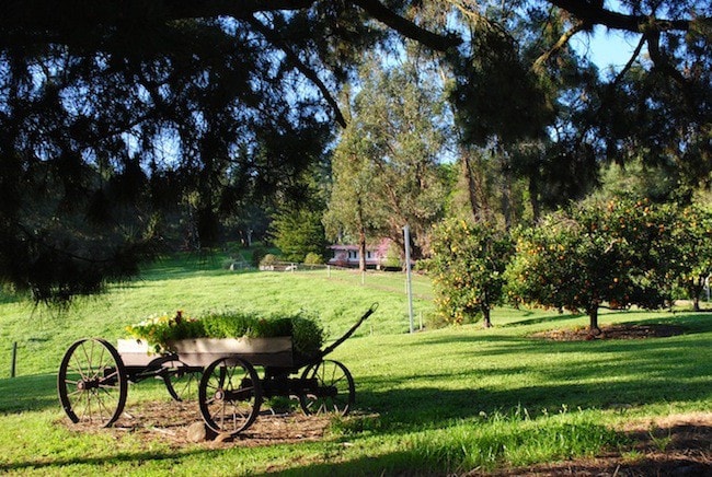 Edenside Cottage