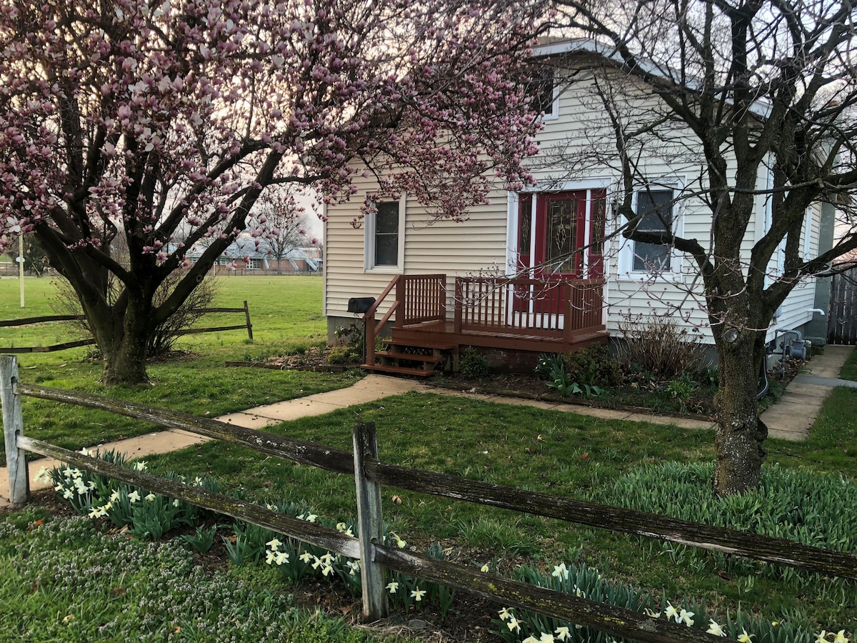 The Boundary Bungalow