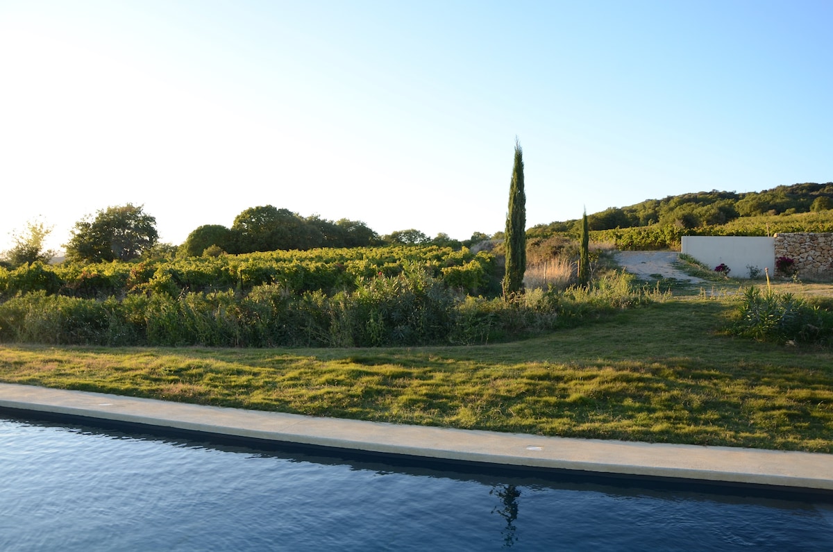 Maison dans domaine viticole bio avec piscine