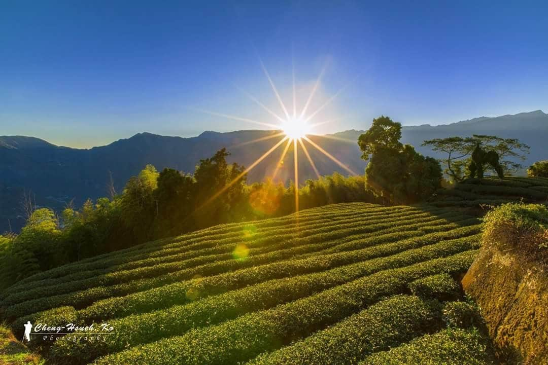 憩在山水間,枕在云海上。