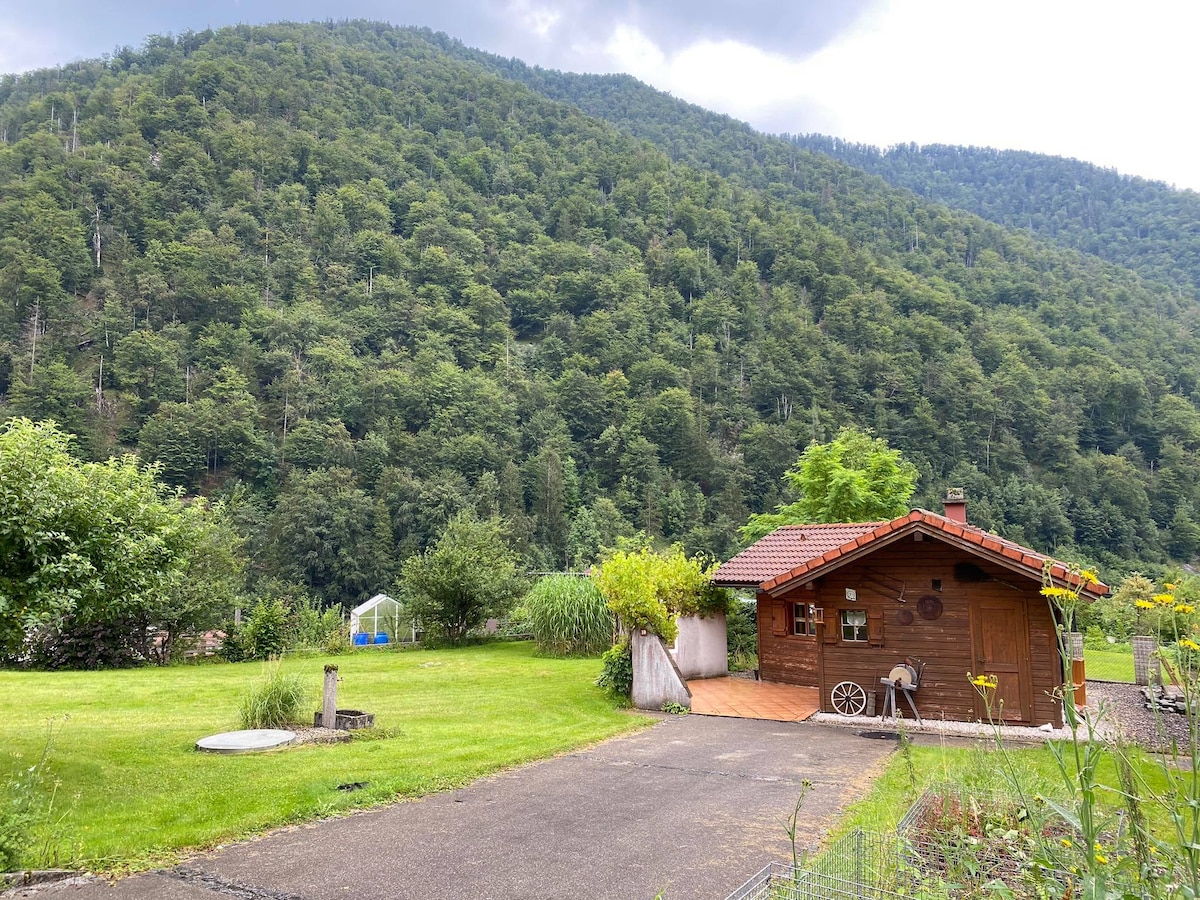 Ebensee度假小屋