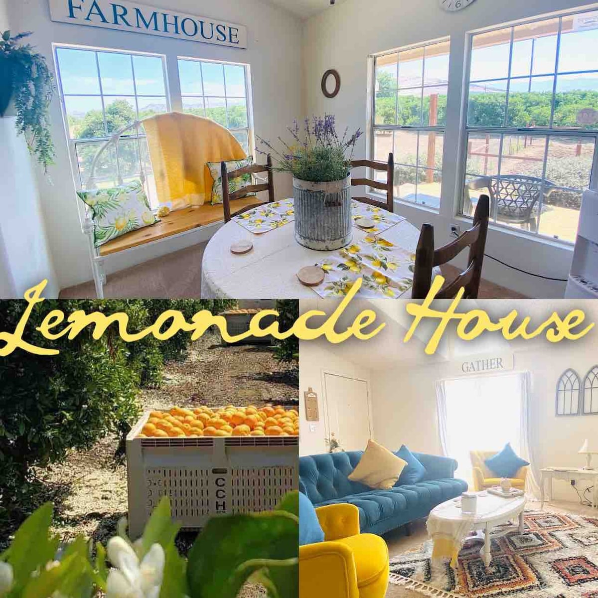 Lemonade House