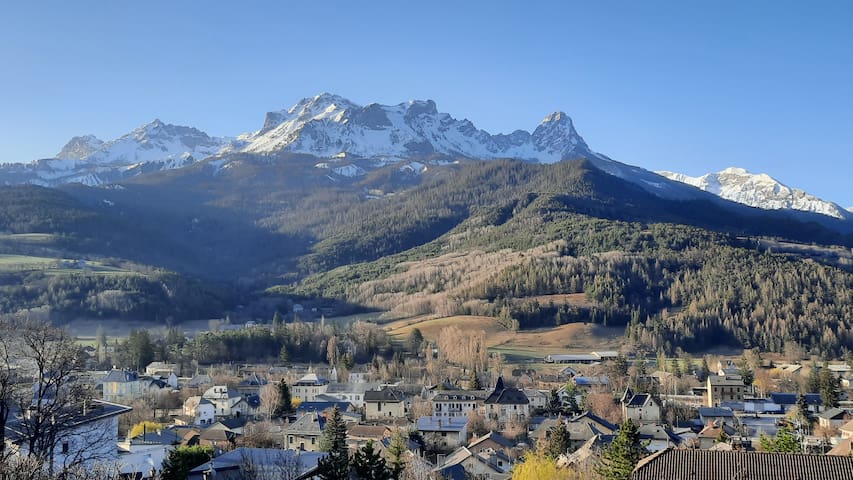 巴尔瑟洛内特 (Barcelonnette)的民宿