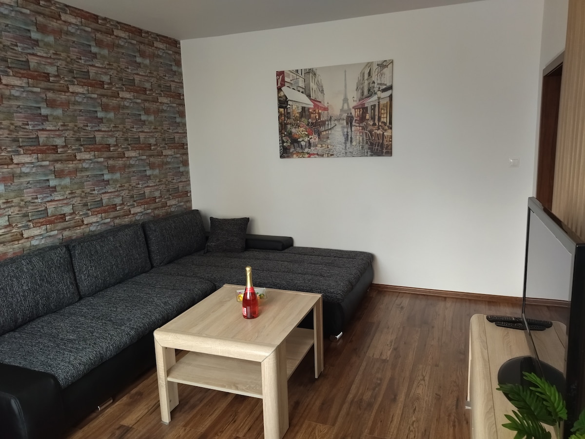 Apartman Viki