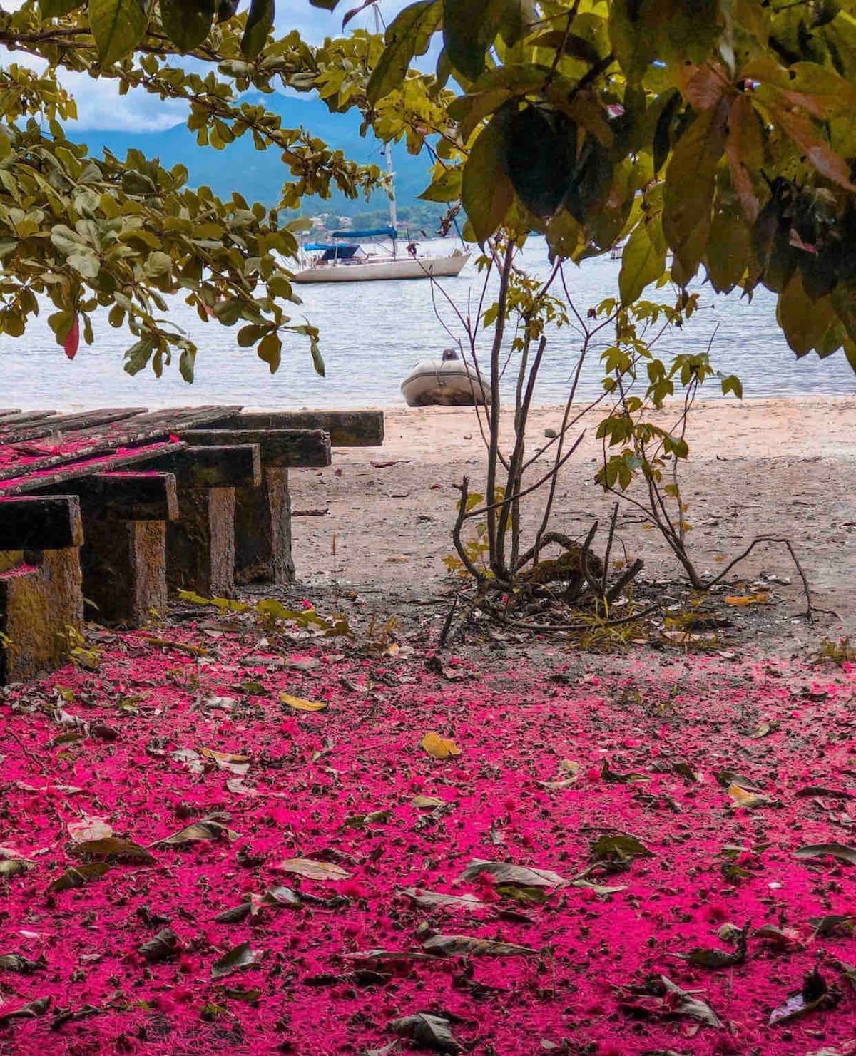 Cabo Frio出租+帆船之旅