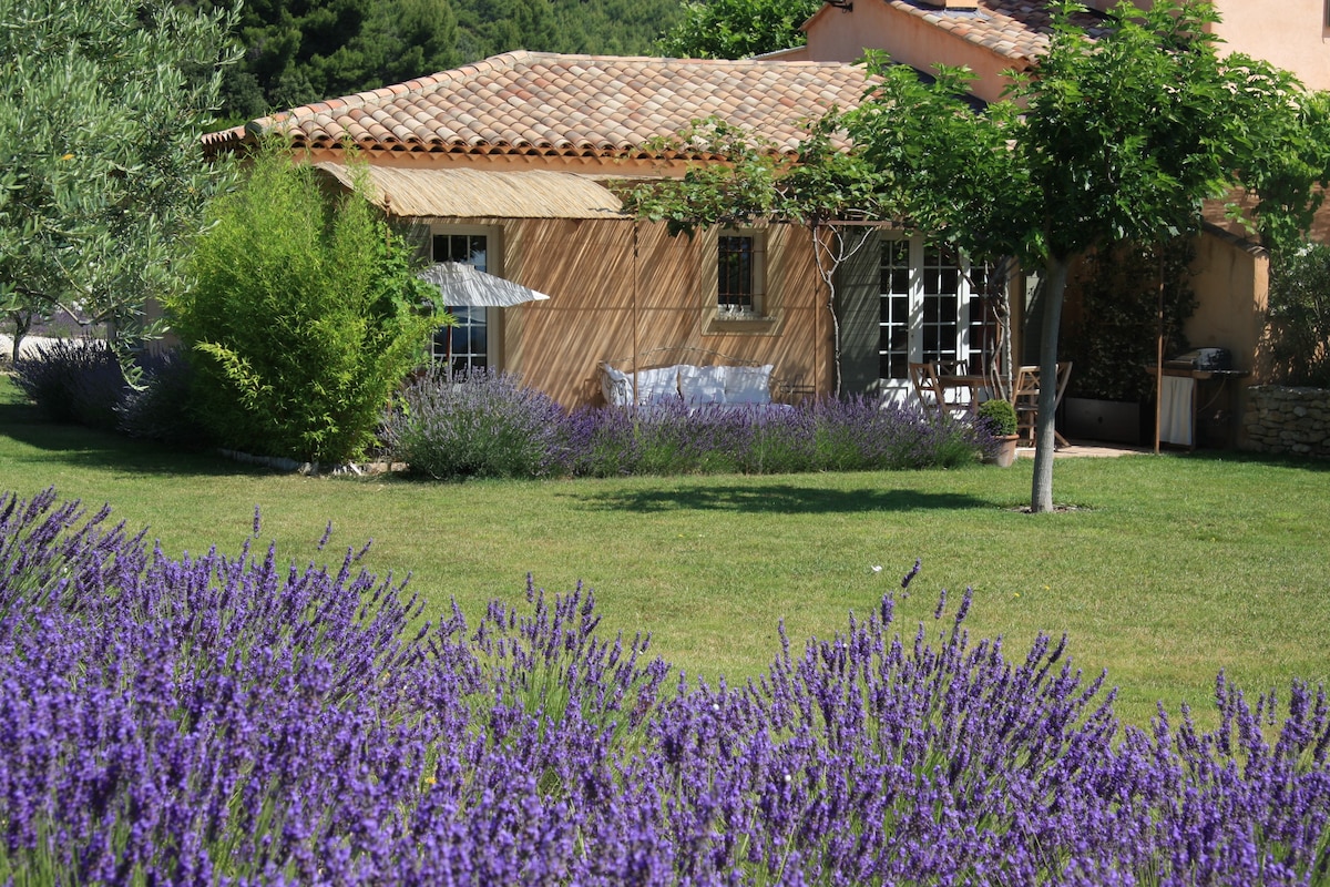 La Bastide des Amandiers, dans un écrin de lavande