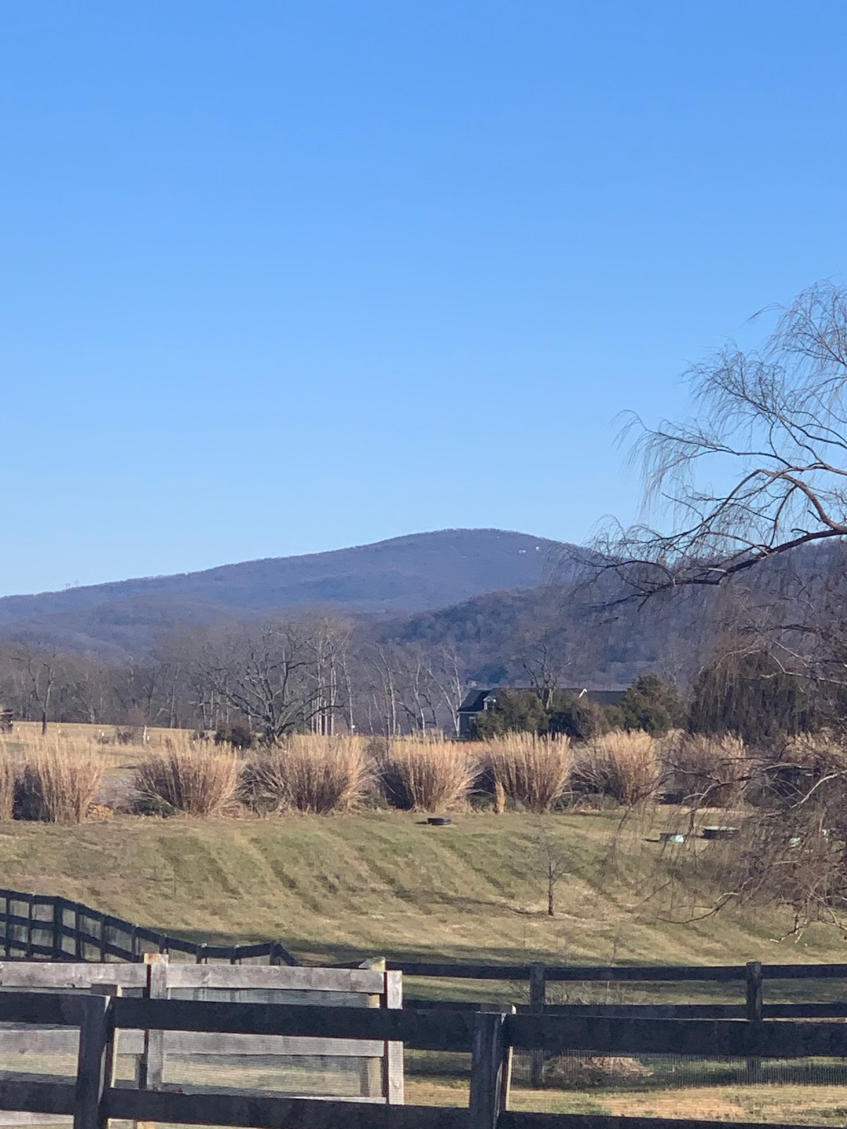 皇家弗吉尼亚州前面有池塘/乡村小屋的山景