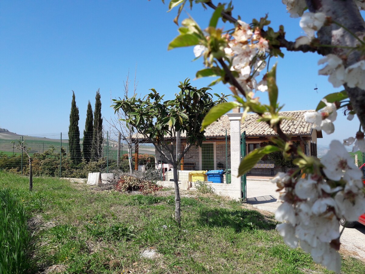 Villa Lemme - In totale relax nella natura