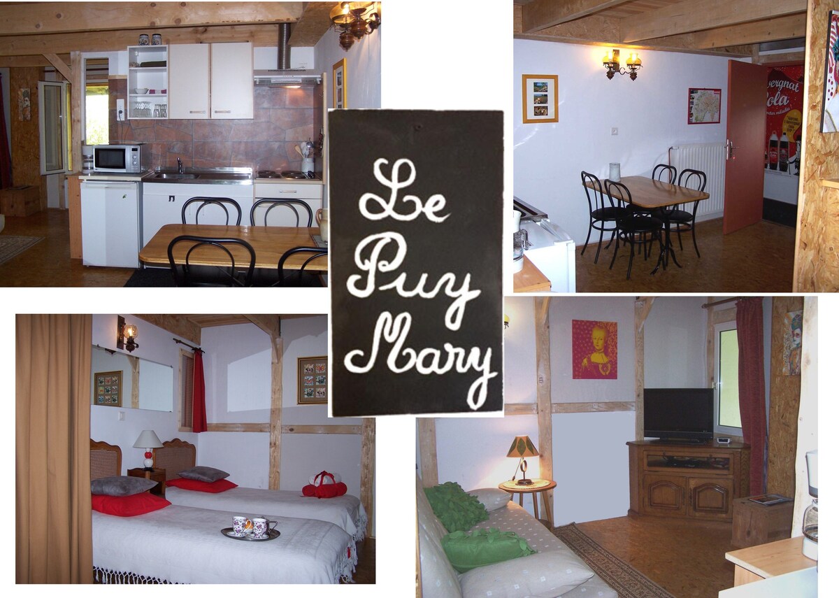 Le Puy Mary ：带露台的大单间公寓