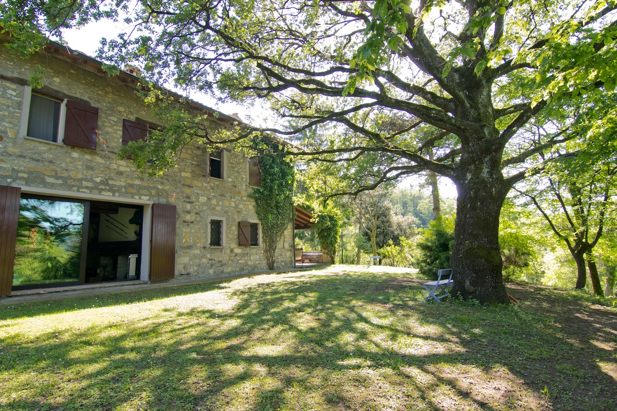 Villa Matilde di Canossa