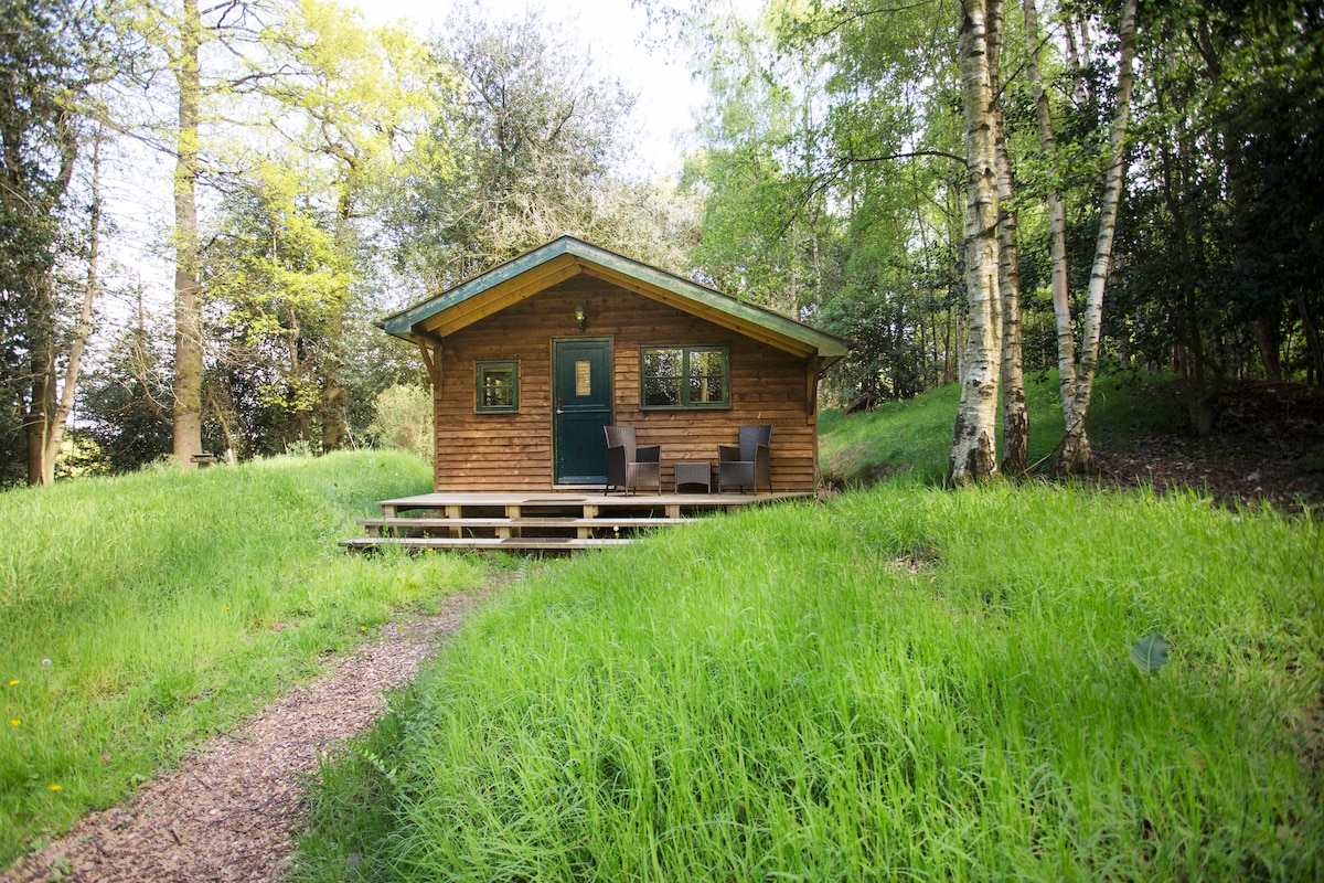 Surrey Hills Woodland Cabin