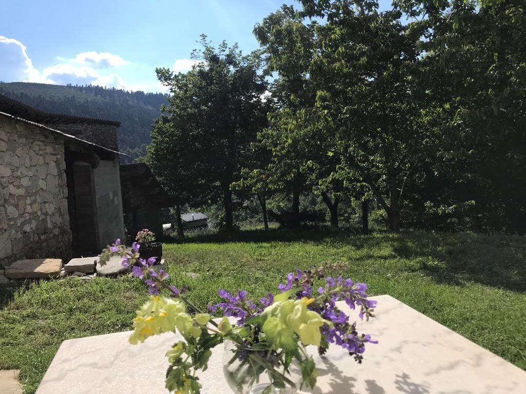 Coquet Studio et son jardinet dans corps de ferme