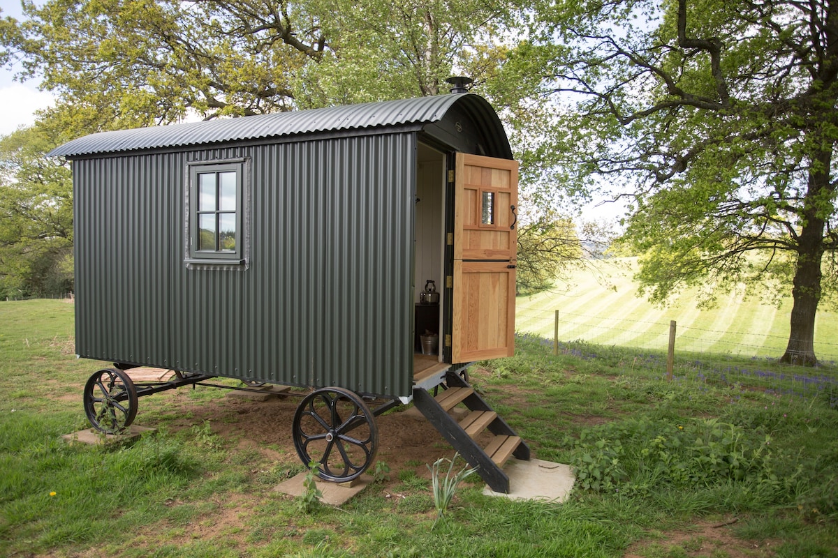 Surrey Hills Shepherds Hut