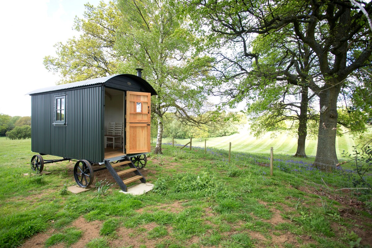 Surrey Hills Shepherds Hut