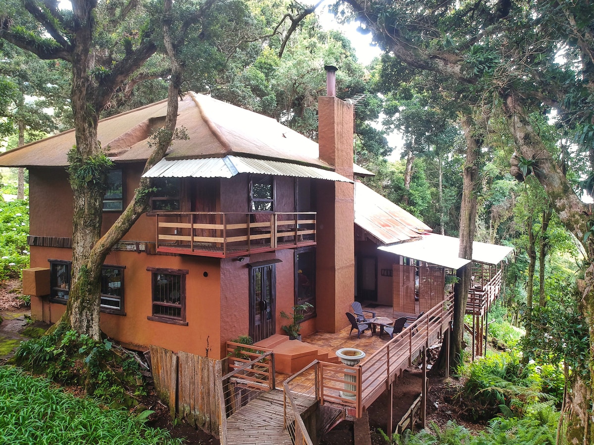 Casa María Bonita -山中的小屋