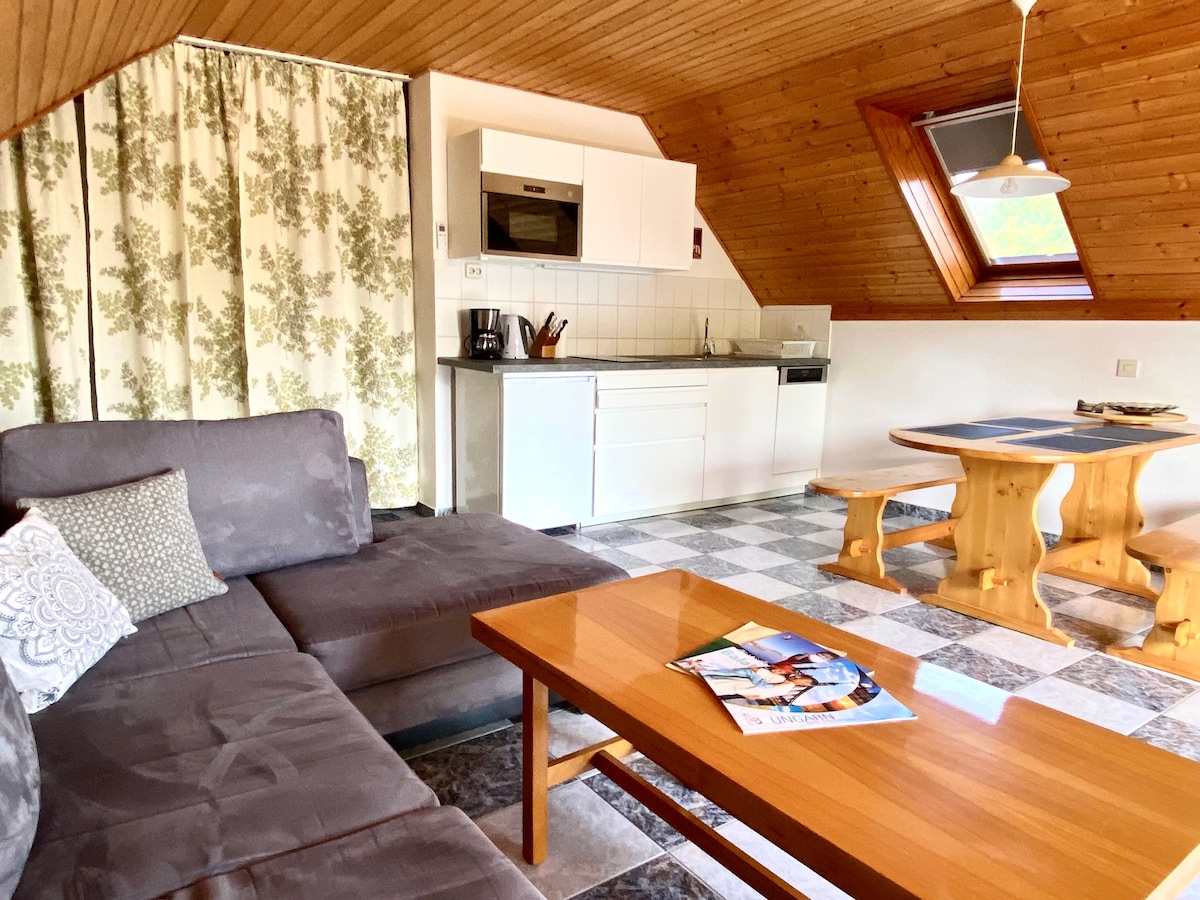 Cozy apartment with AC at the lake Balaton/Vonyarc