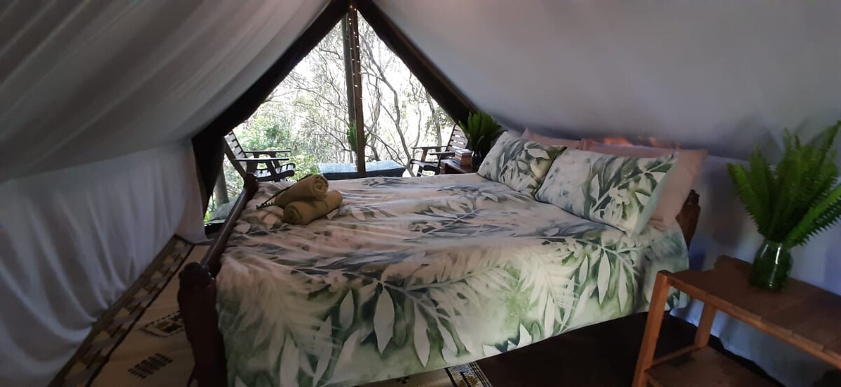 Treetops Forest Tent