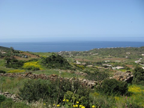 Dammuso Pantelleria: Dammuso Ulivo