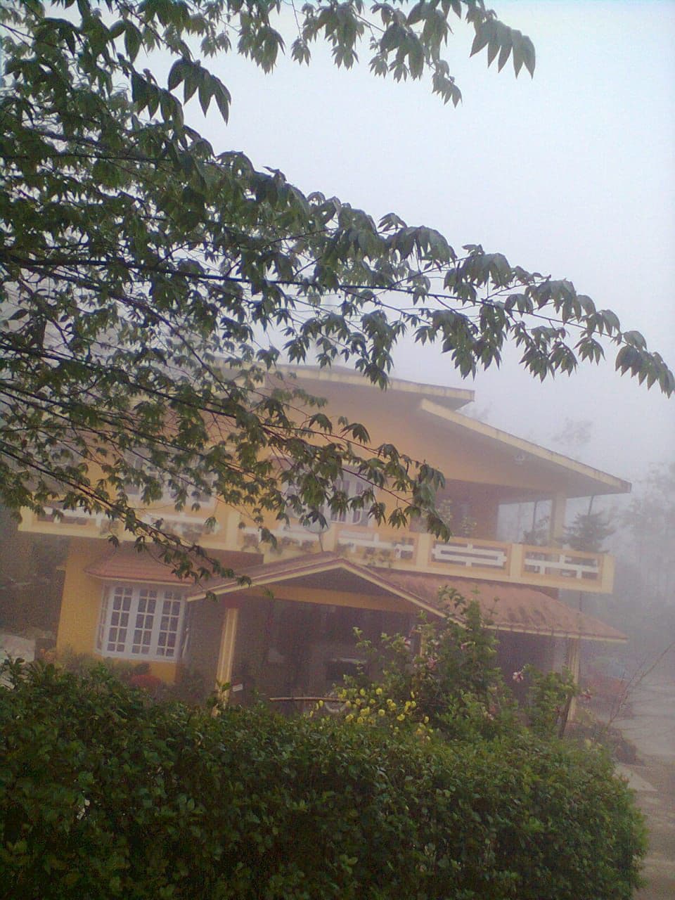 Blue Mist Homestay