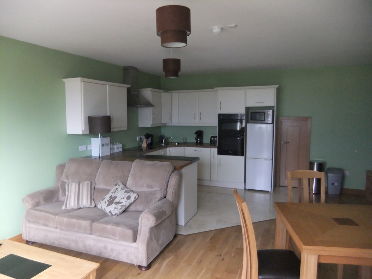 Apartment near University Hospital Waterford