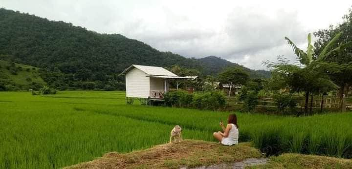 Samoeng钓鱼@ home stay samoeng