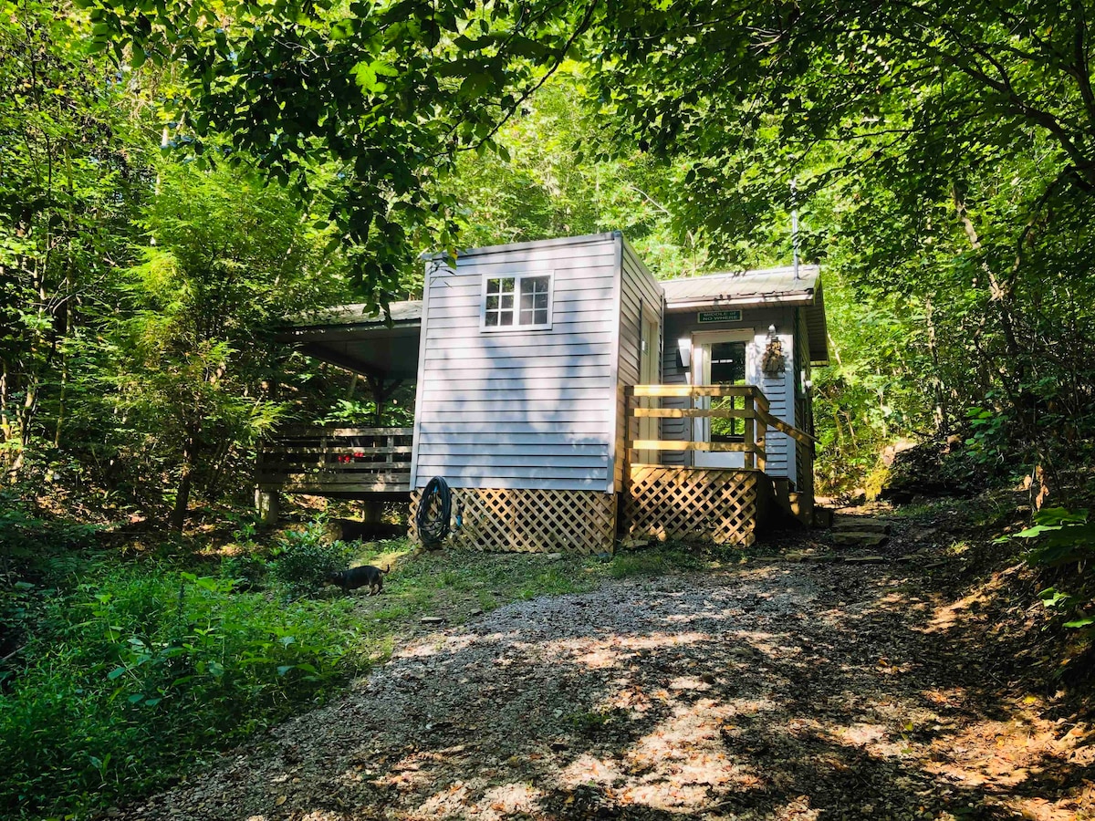 A Curious Cottage in Daniel Boone National Forest