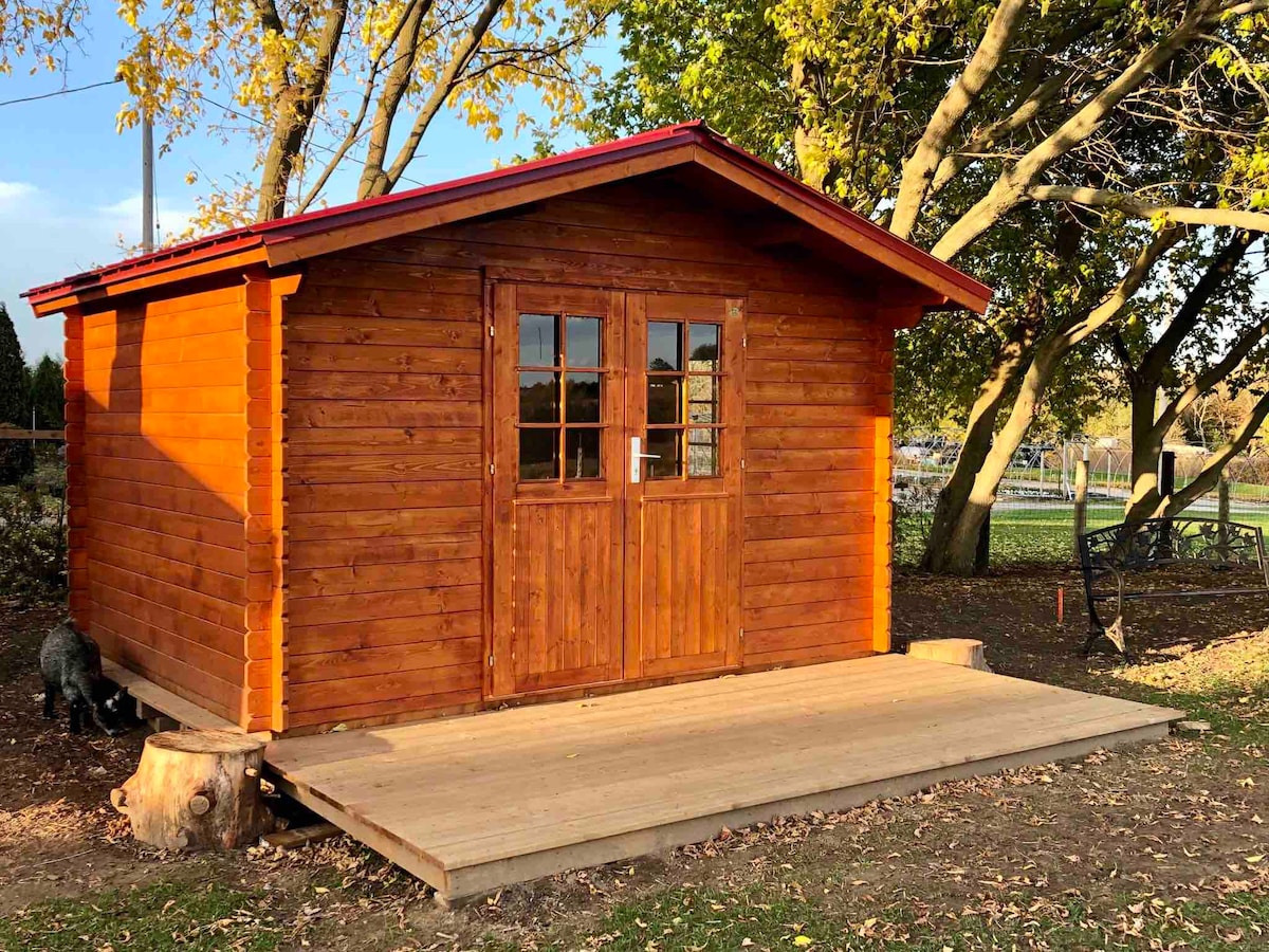 Bunkie on the Farm