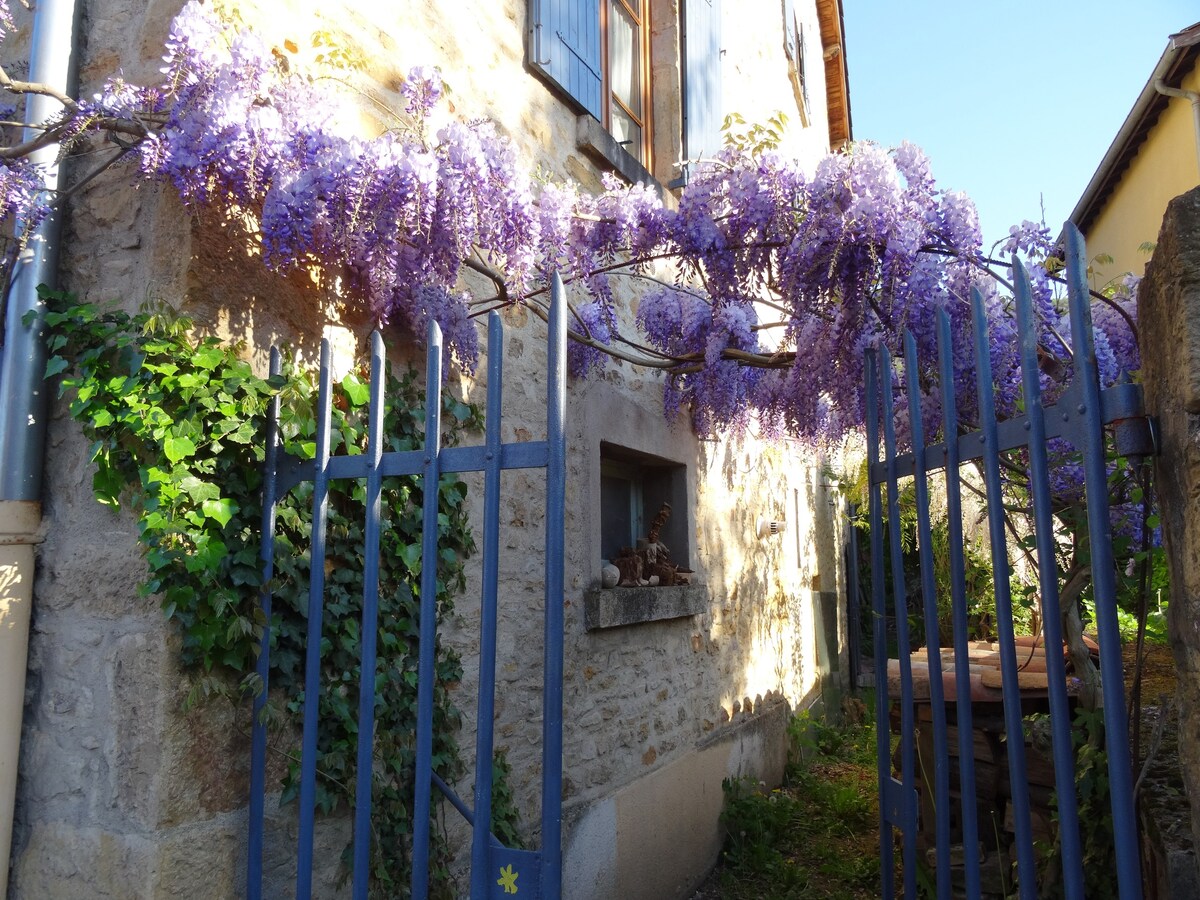 靠近里昂（ Lyon ）单间公寓，位于村庄别墅内