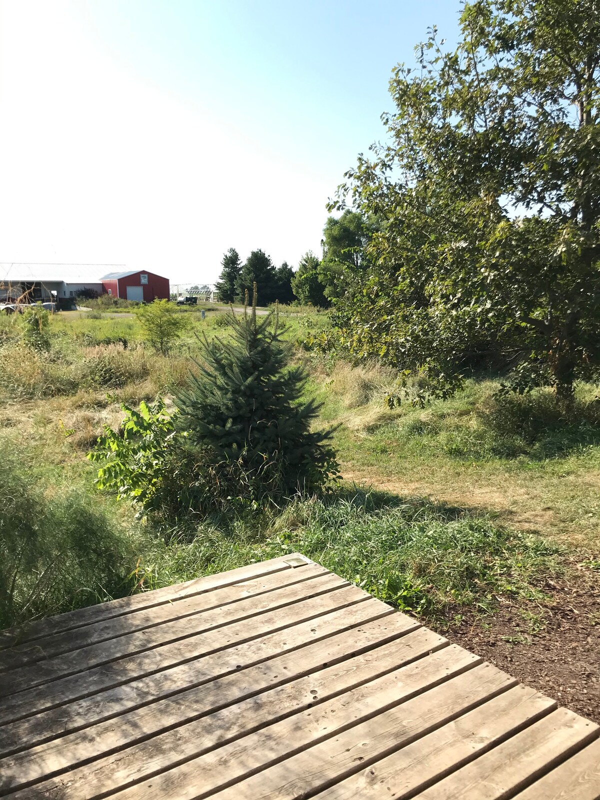 Grinnell Heritage Tiny House - On Organic Farm