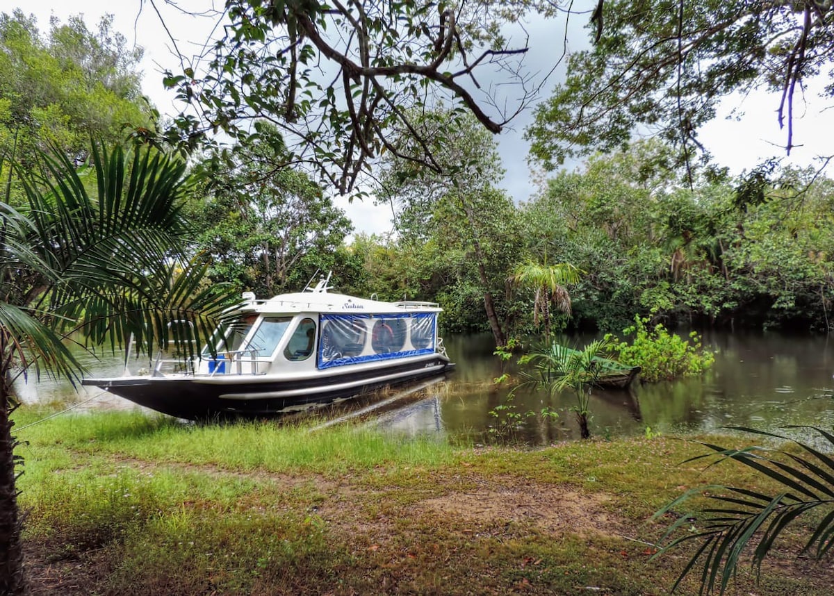 Seringal das Artes - Casa Ateliê na Floresta