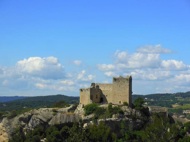 韦松拉罗迈纳(Vaison-la-Romaine)的民宿