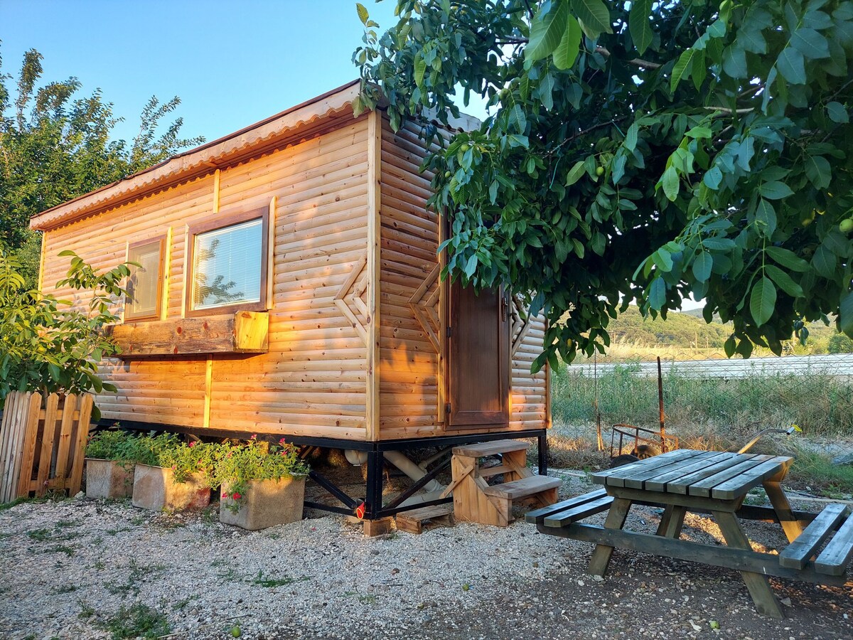 wooden Tiny house in village surrounded by nature