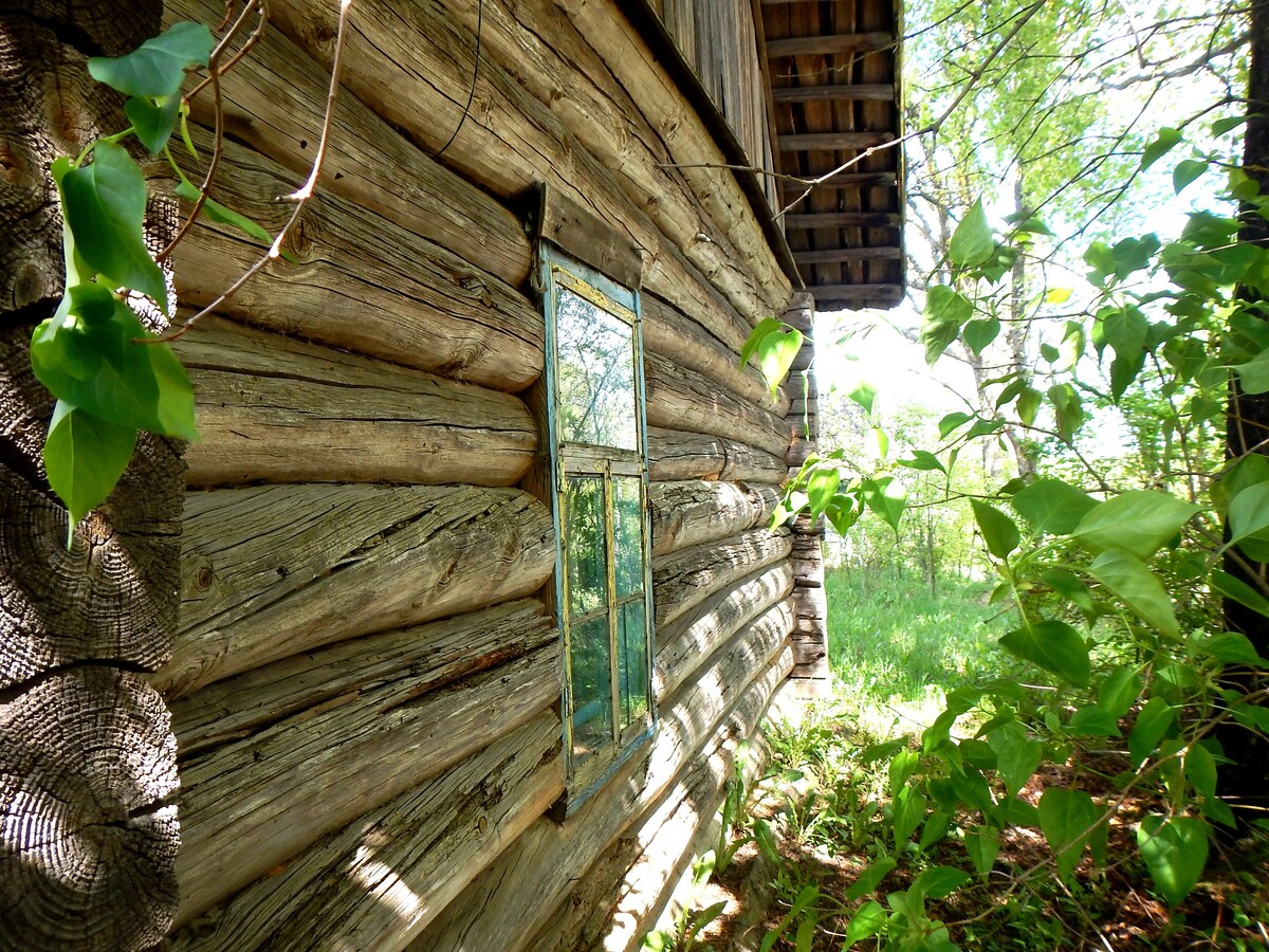白俄罗斯村庄里的房子