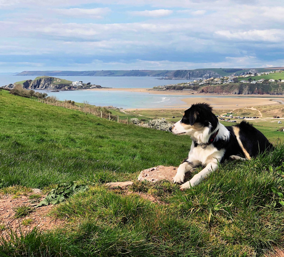 Bantham Beach Pad ，可欣赏Burgh Island风光