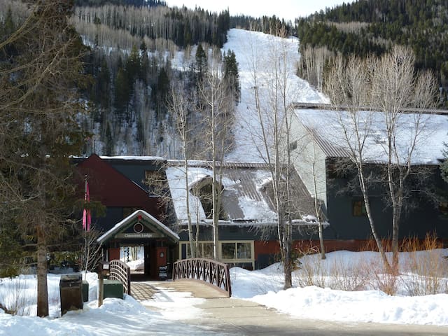 Telluride的民宿