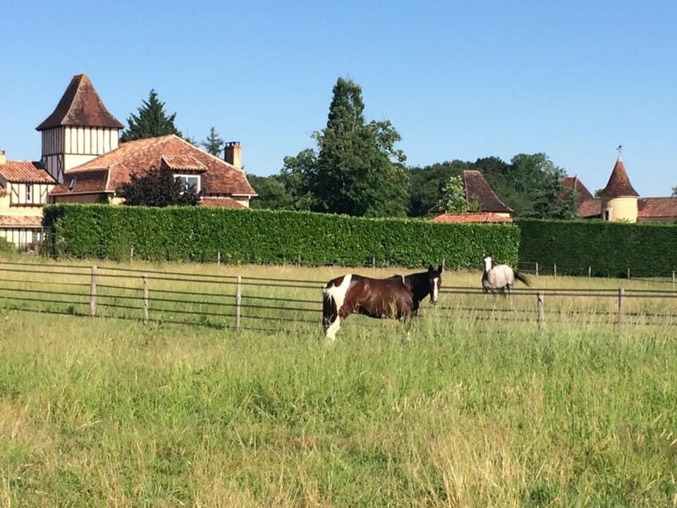 Périgord -营地，自然泳池位置