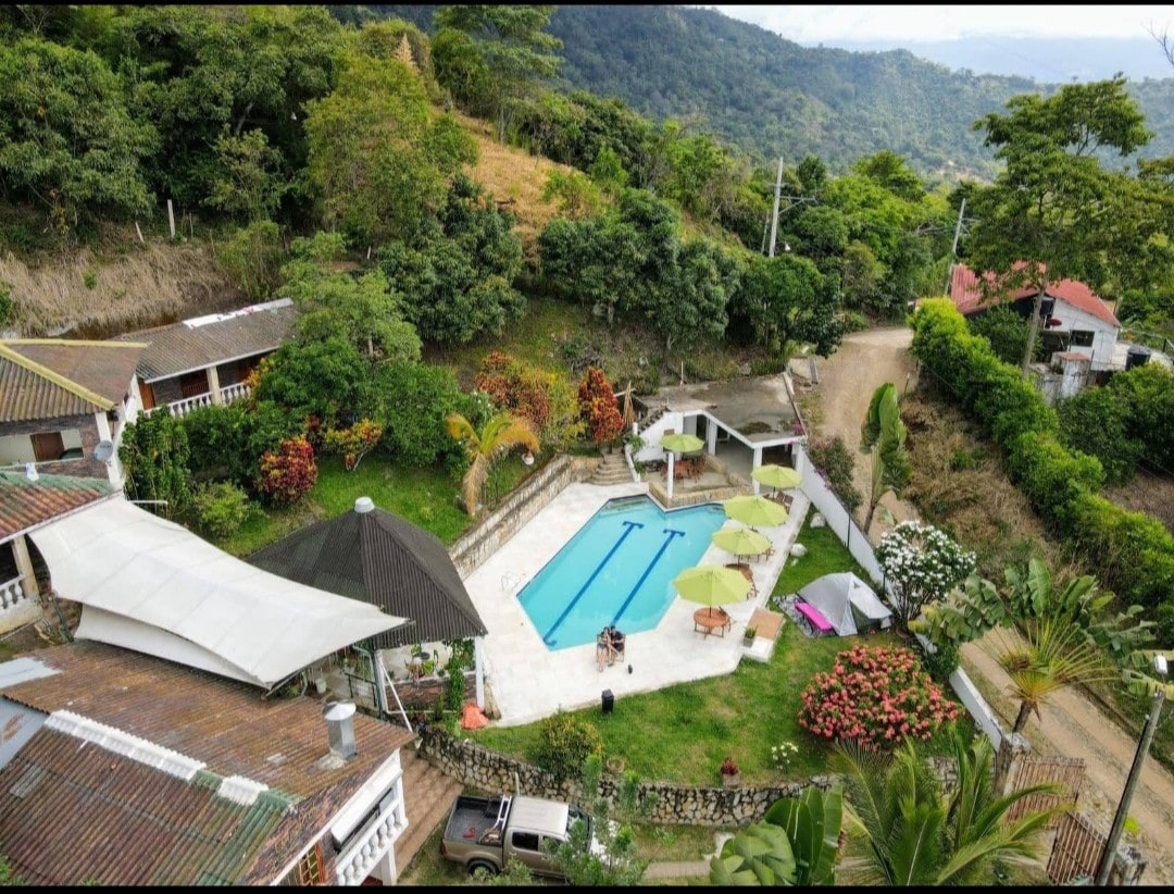Monteverde Cedro