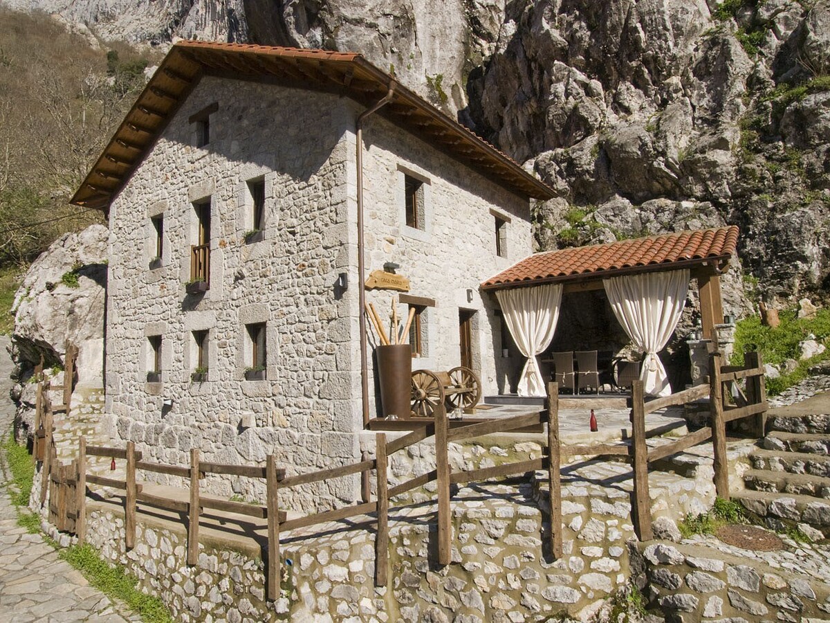 P.N. Picos de Europa Suite Rústica住宿加早餐